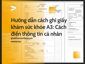 Hướng dẫn cách ghi giấy khám sức khỏe A3: Cách điền thông tin cá nhân