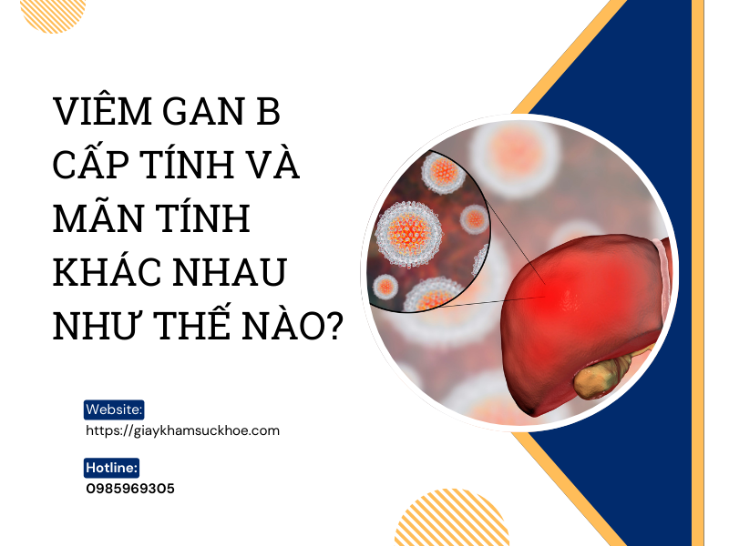 Viêm gan B cấp tính và mãn tính khác nhau như thế nào?