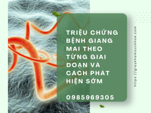 Triệu chứng bệnh giang mai theo từng giai đoạn và cách phát hiện sớm