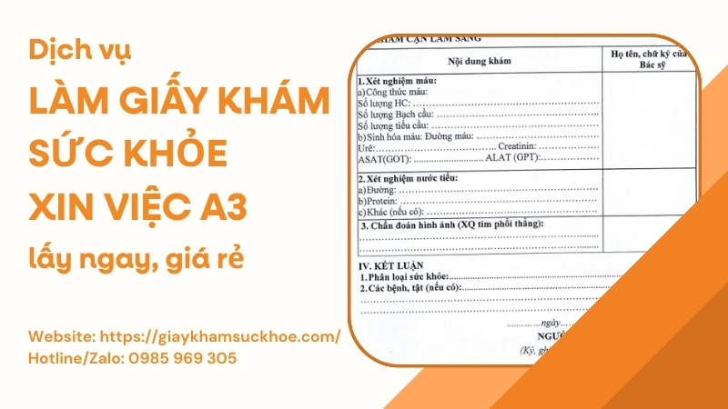 Giấy khám sức khỏe xin việc A3