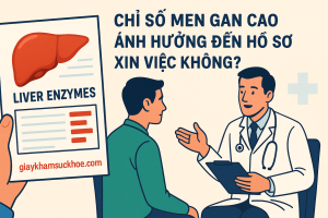 Chỉ số men gan cao có ảnh hưởng đến hồ sơ xin việc không