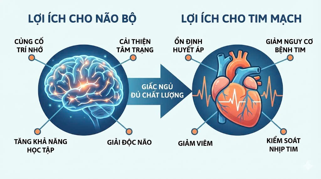 Lợi ích sức khỏe khi hiểu vì sao cần ngủ đủ 8 tiếng